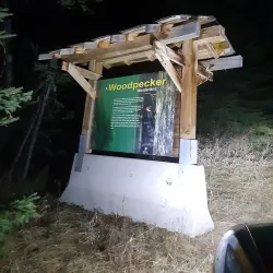 McLeod River - Whitecourt