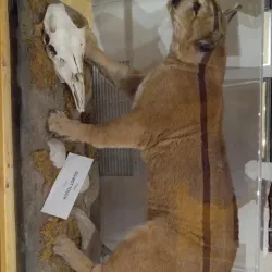 Whitecourt Heritage Park - Whitecourt