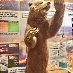 Whitecourt Museum - Whitecourt