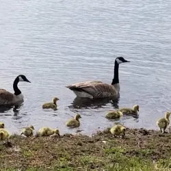 Whitecourt River Valley Park - Whitecourt