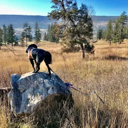 Boitanio Park - Williams Lake