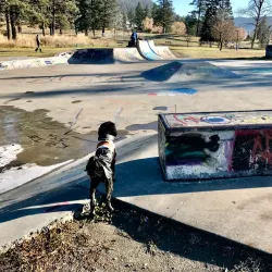 Boitanio Park - Williams Lake