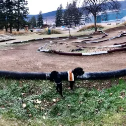 Boitanio Park - Williams Lake