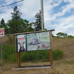 Cariboo Regional District Visitor Centre - Williams Lake