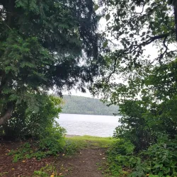 Horsefly Lake Provincial Park - Williams Lake