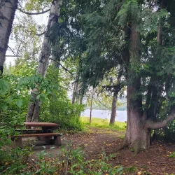 Horsefly Lake Provincial Park - Williams Lake