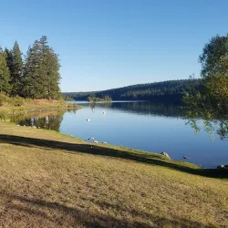Lac La Hache Provincial Park - Williams Lake