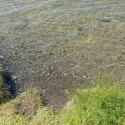 Lac La Hache Provincial Park - Williams Lake