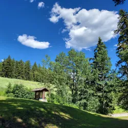 Lac La Hache Provincial Park - Williams Lake
