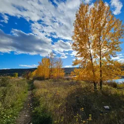 Scout Island Nature Centre - Williams Lake