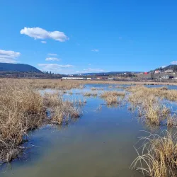 Scout Island Nature Centre - Williams Lake
