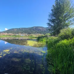 Scout Island Nature Centre - Williams Lake