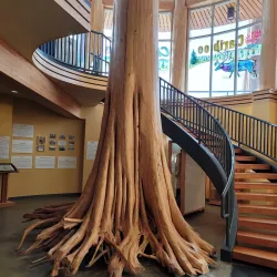 Williams Lake Museum - Williams Lake