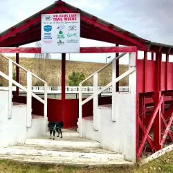 Williams Lake Stampede - Williams Lake