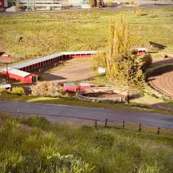 Williams Lake Stampede - Williams Lake