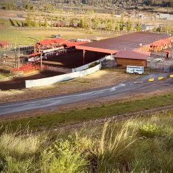 Williams Lake Stampede - Williams Lake