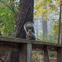 Ojibway Nature Centre - Windsor