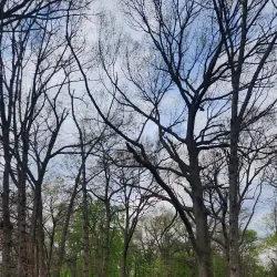 Ojibway Park - Windsor