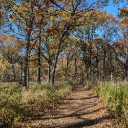 Ojibway Park - Windsor
