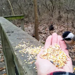 Ojibway Park - Windsor