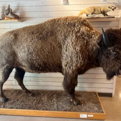 FortWhyte Alive - Winnipeg