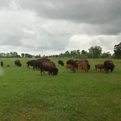 FortWhyte Alive - Winnipeg