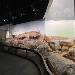 Manitoba Museum - Winnipeg