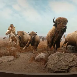 Manitoba Museum - Winnipeg