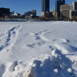 The Forks - Winnipeg