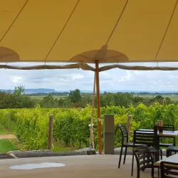 Annapolis Valley Wineries - Wolfville