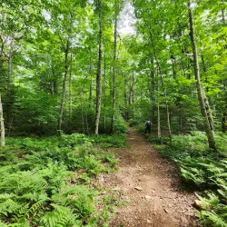 Blomidon Provincial Park - Wolfville