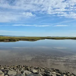 Wolfville Waterfront Park - Wolfville