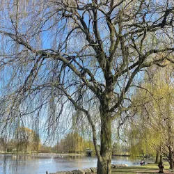 Southside Park - Woodstock