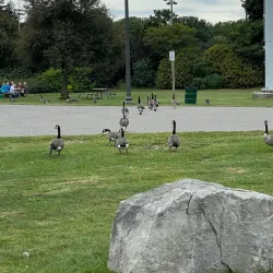 Southside Park - Woodstock