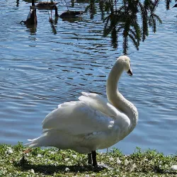 Southside Park - Woodstock