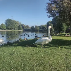 Southside Park - Woodstock