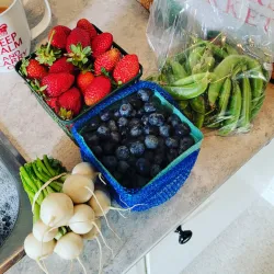 Woodstock Farmers' Market - Woodstock