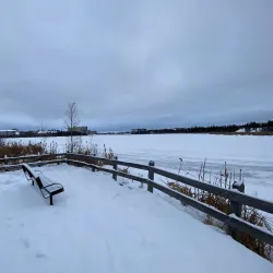 Niven Lake - Yellowknife
