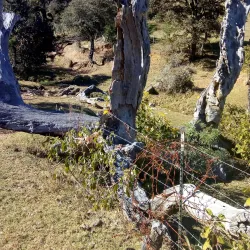 Kinsmen Park - Yorkton