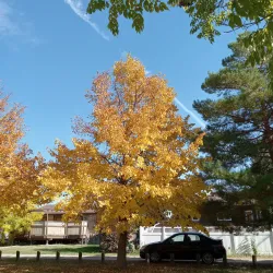 Kinsmen Park - Yorkton