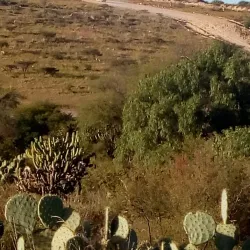 Kinsmen Park - Yorkton