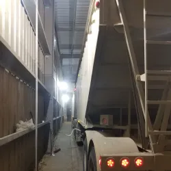 Saskatchewan Wheat Pool Grain Elevator - Yorkton