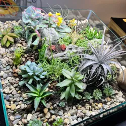 Yorkton Art Gallery - Yorkton