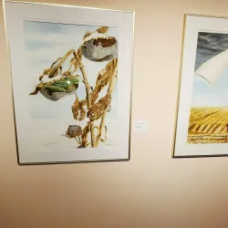 Yorkton Art Gallery - Yorkton