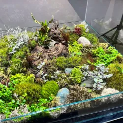 Yorkton Art Gallery - Yorkton