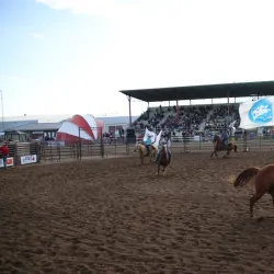 Yorkton Exhibition Grounds - Yorkton