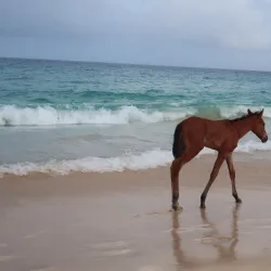 Santa Maria Beach - Santa Maria