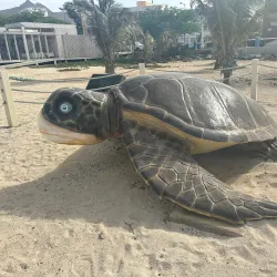 Praia da Laginha - Sao Pedro