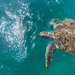 São Pedro Beach - Sao Pedro