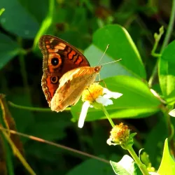 Bodden Town Bay - Bodden Town